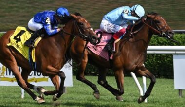 May Day Ready primed for G2 Lake Placid