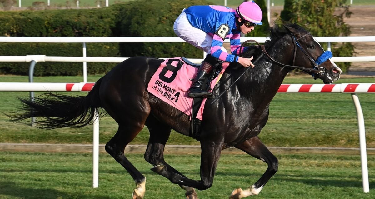 Friend Ofthe Devil stretches out in $150K NYSSS Cab Calloway