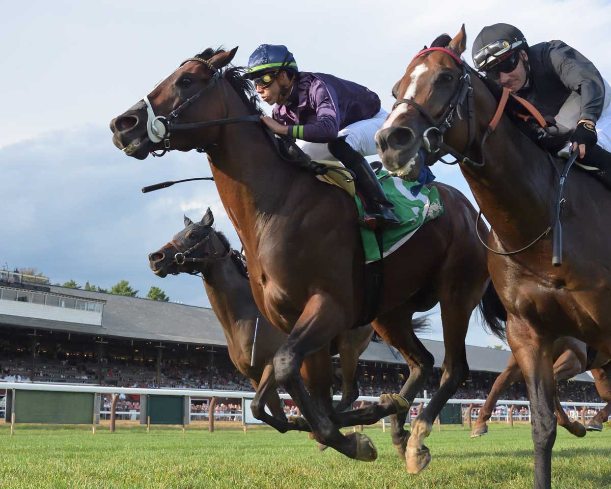 I’m Discouraged - Saratoga TODAY newspaper