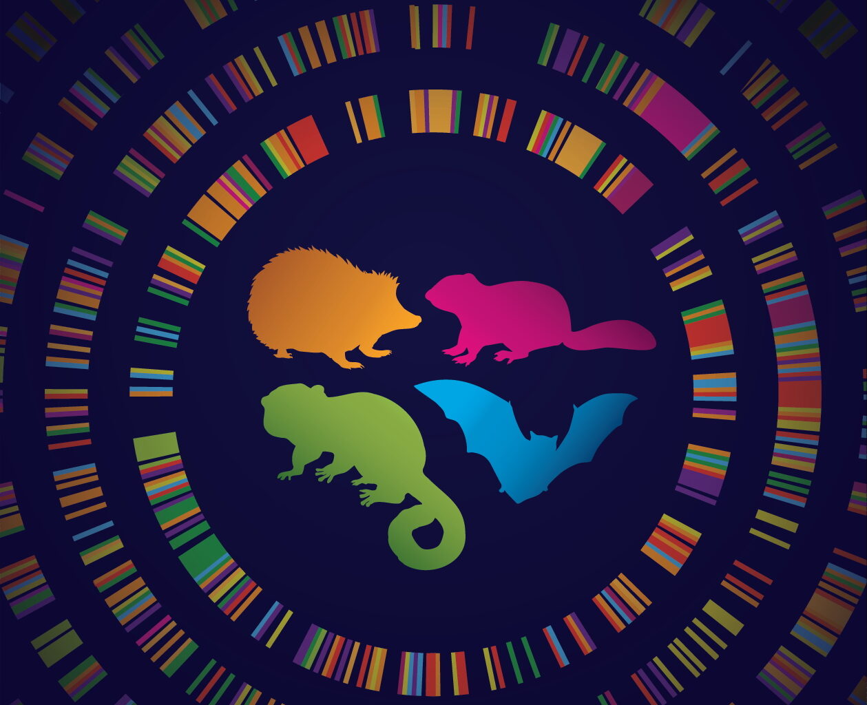 Hibernator “Superpowers” May Lie Hidden in Human DNA