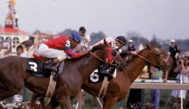Affirmed, Alydar and the Rivalry That Still Defines Horse Racing