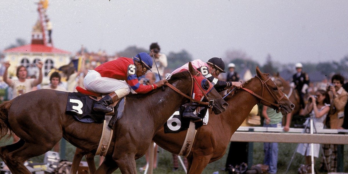 Affirmed, Alydar and the Rivalry That Still Defines Horse Racing