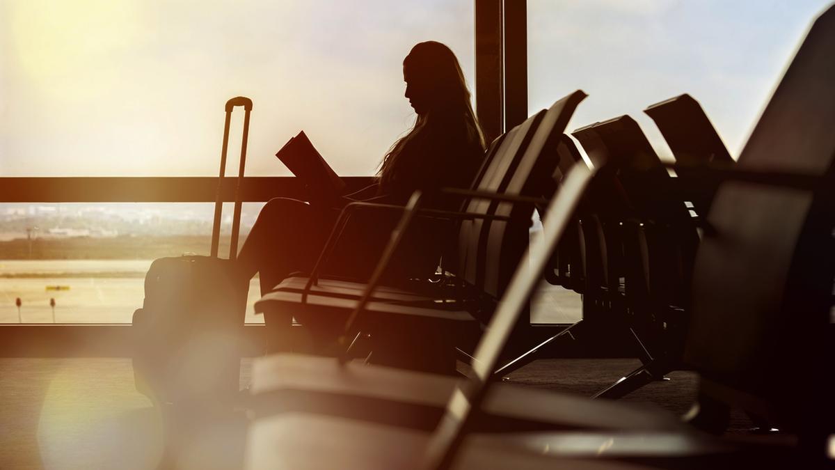 Column | War, witches and wildlife: top books to read this August