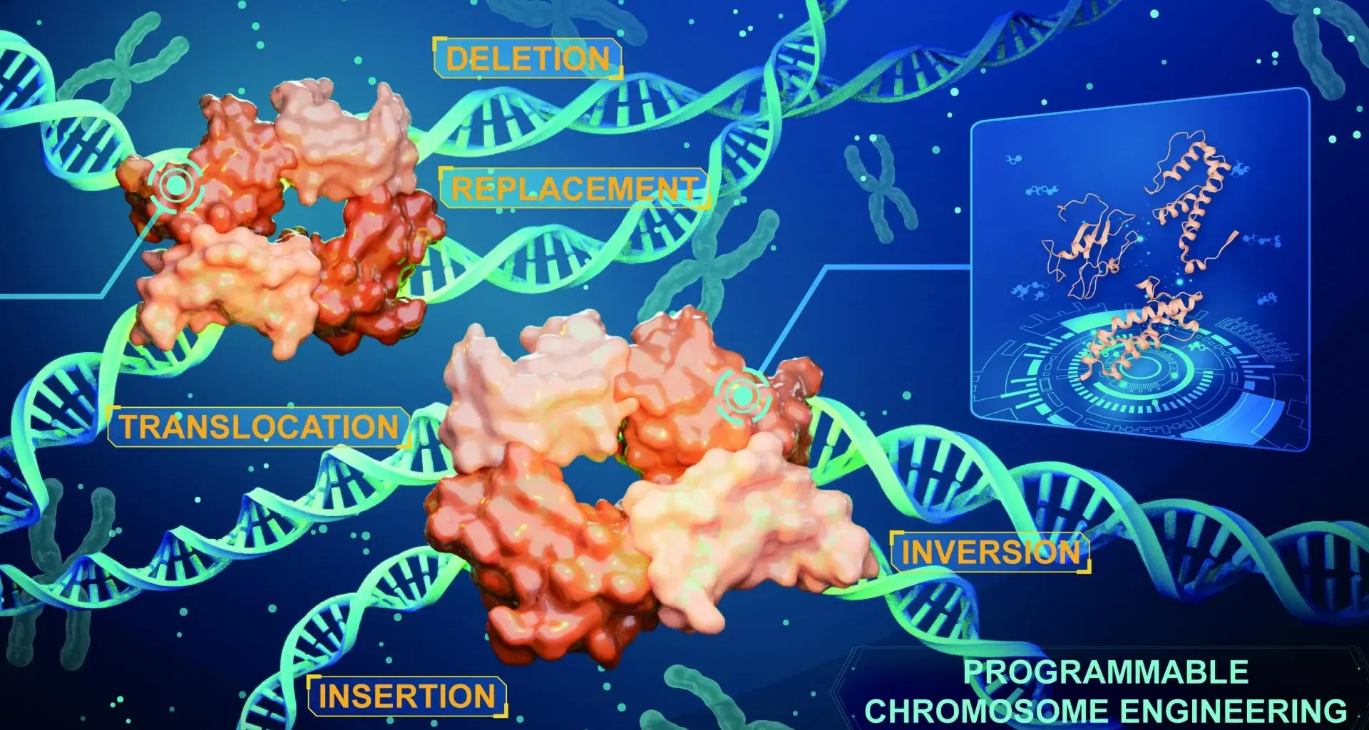 Scientists just cracked the code to editing entire chromosomes flawlessly