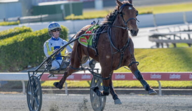 Pitt stable riding the highs in the Sunshine State :: Racing Queensland