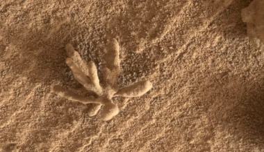 Nasa discovery ‘raises new questions’ about Mars - The Independent