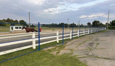 Harness racing returns to Woodstock after 7-week pause due to fatality at the track