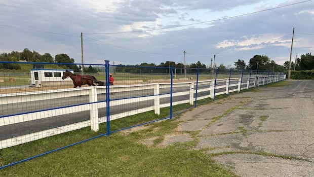 Harness racing returns to Woodstock after 7-week pause due to fatality at the track