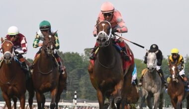 Pop Idol takes them all the way in Listed Galway