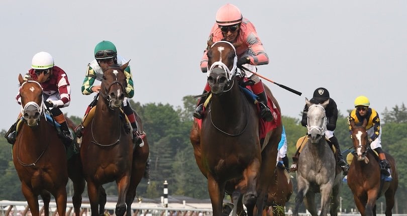 Pop Idol takes them all the way in Listed Galway