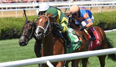 Scratch It steps up for Listed $150K P.G. Johnson pres. by Snap-On