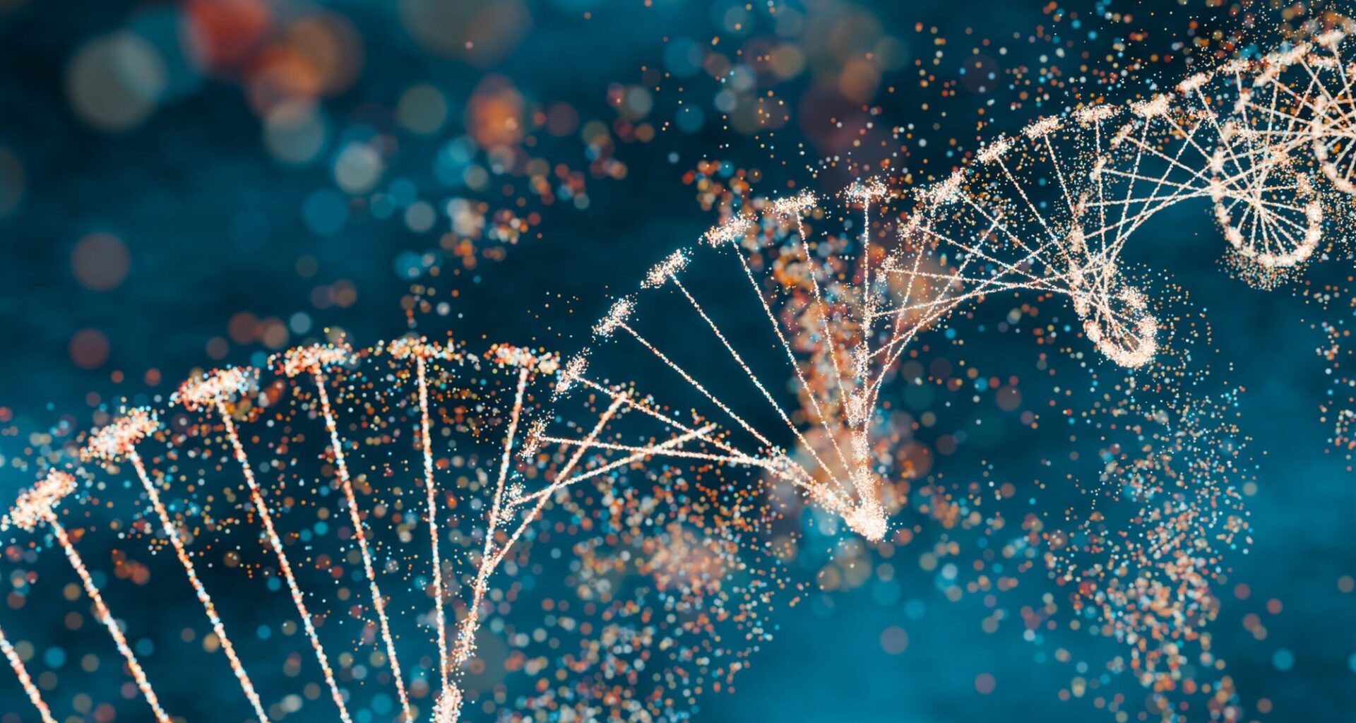 Study finds viral junk DNA plays critical role in human development