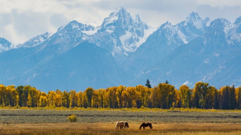 FX Daily: Dollar drifts higher ahead of Jackson Hole speech | articles