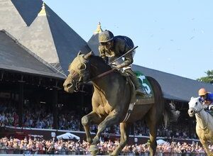‘He’s just in a different league’ – Sierra Leone asserts his superiority in the Whitney | Topics: Deterministic, Miguel Clement, Fallen Angel, Deauville, TRC Global Rankings, Glorious Goodwood, Sussex Stakes, Qatar Goodwood Festival, Qirat, Goodwood, Saratoga, Wathnan Racing, Whirl, Sierra Leone, Scandinavia, Whitney, Breeders' Cup Classic