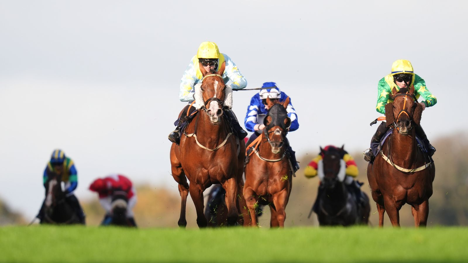 Action from Brighton Racecourse