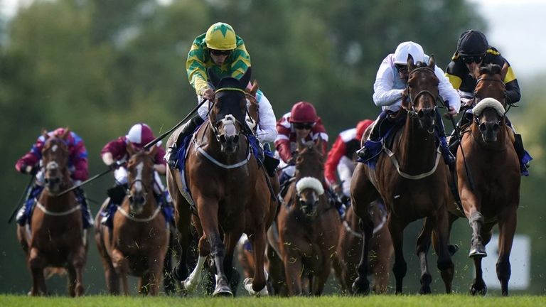 Chillingham (centre) is set to go to post at York