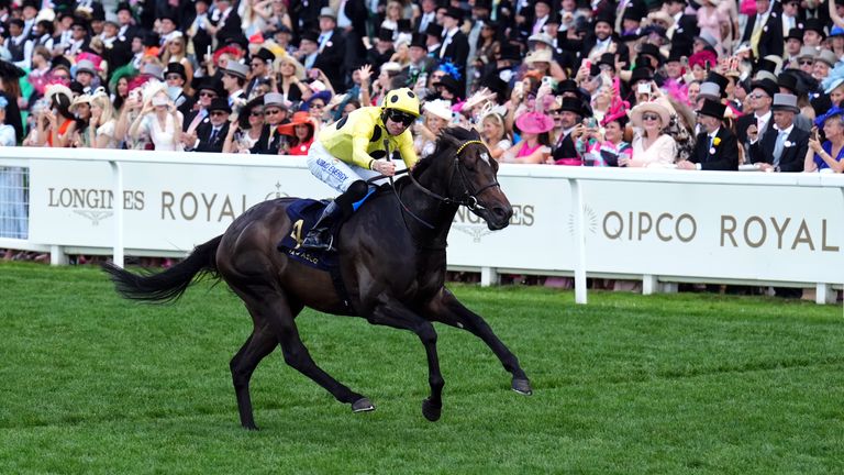 Inisherin is Kate Tracey's July Cup selection