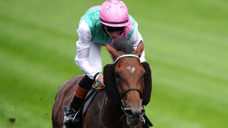 Pinhole takes his chance on Newbury's afternoon card