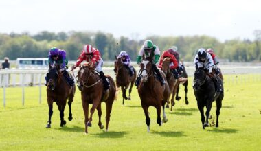 Windsor hosts today's live racing