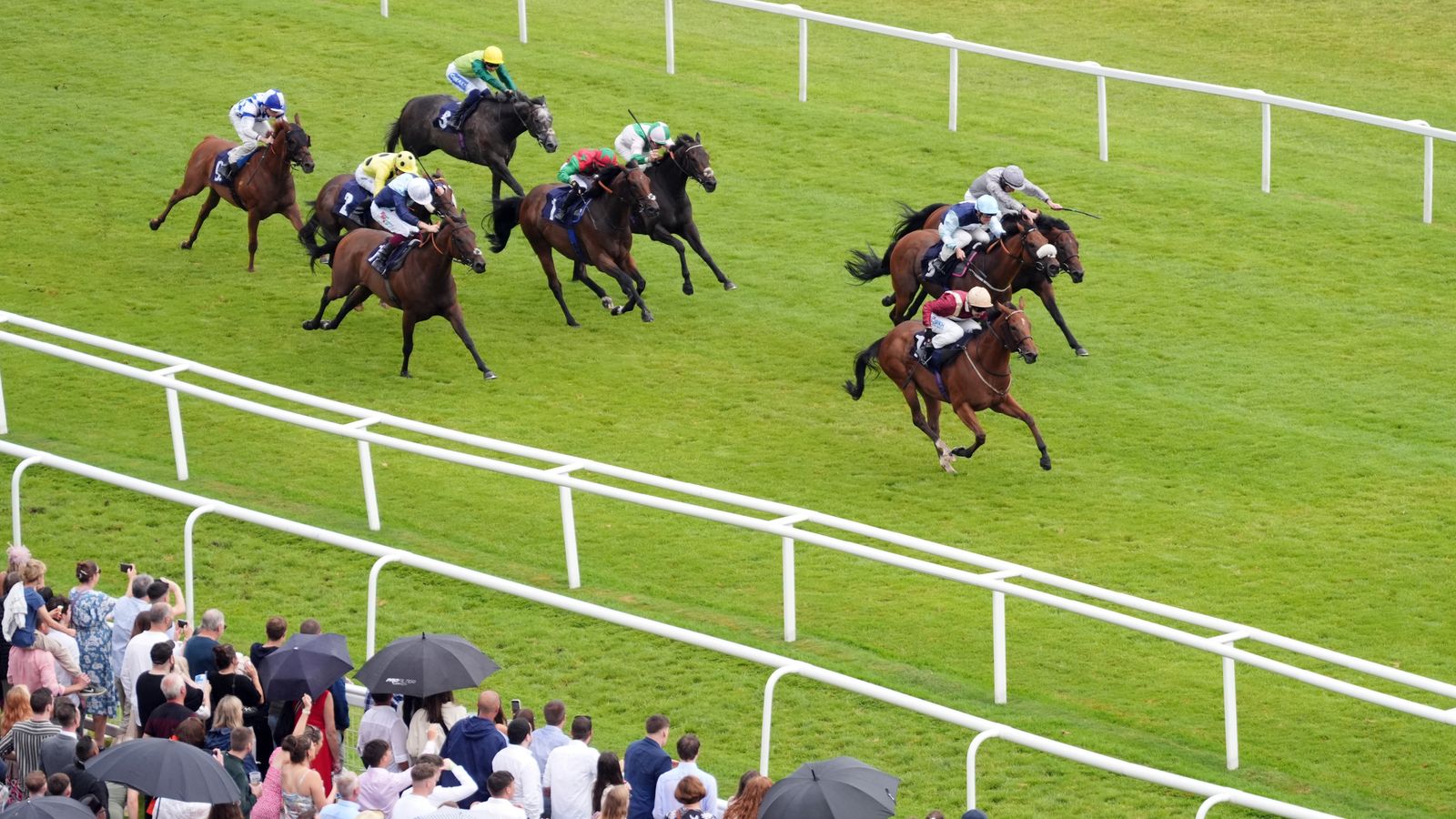 Rage Of Bamby and Charlie Bishop draw clear in the Hackwood Stakes