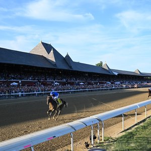 ‘This is the horse of a lifetime’ – Sovereignty only one point off #1 world rankings spot after Travers romp | Topics: Minnie Hauk, Ombudsman, Trawlerman, TRC Global Rankings, Travers Stakes, Via Sistina, Saratoga, Thorpedo Anna, Saratoga Race Course, York, Book'em Danno, Sovereignty, Godolphin, Juddmonte International