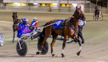 Thenu Came Along is out to lead