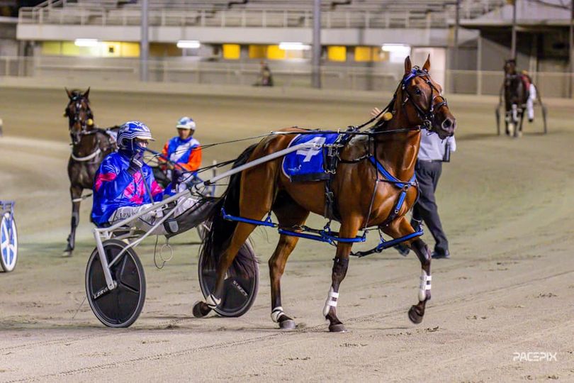 Thenu Came Along is out to lead