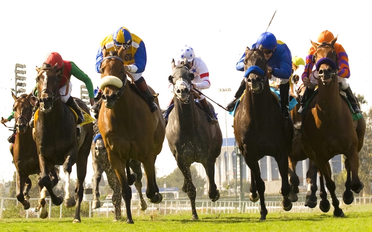 With his forward running style, they were always coming at The Tin Man late in a race. (Benoit photo)