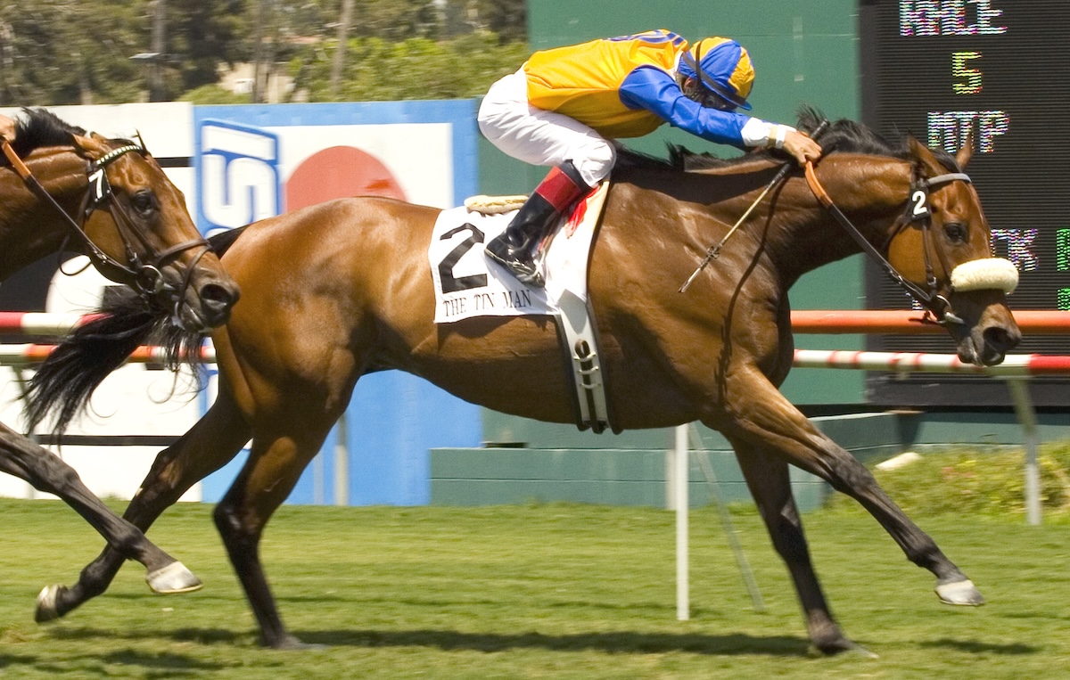 The Tin Man takes his second American Handicap at the age of eight. (Benoit Photo)