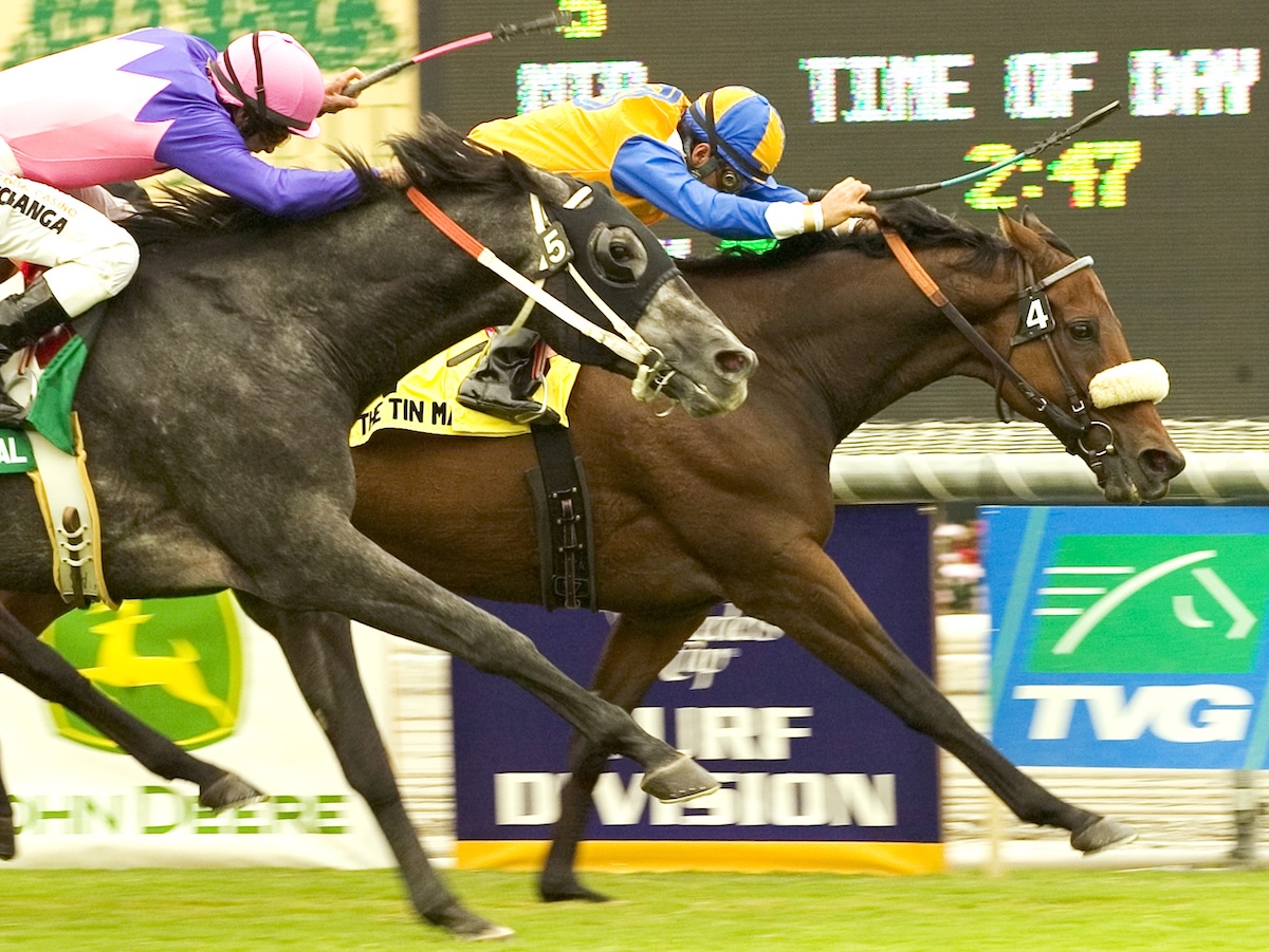 Classy T.H. Approval gave The Tin Man all he could handle in the Clement Hirsch Memorial. (Benoit photo)