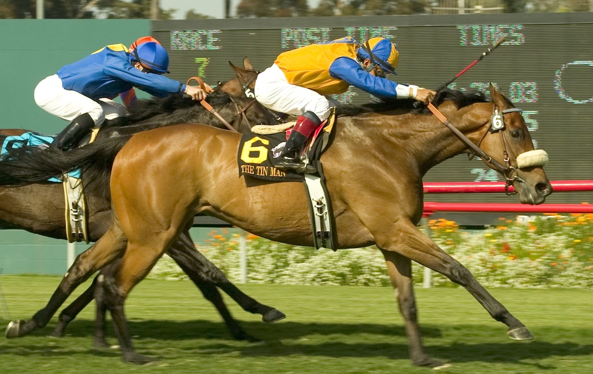 The Tin Man reaches out for what was his final triumph in the G1 Shoemaker Mile. (Benoit photo)