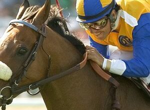 The Tin Man: ‘The only difference was, this tin man was made of nothing but heart’ – Jay Hovdey on a beloved turf veteran | Topics: The Tin Man, Breeders' Cup Turf, Arlington Million, Santa Anita, Jay Hovdey's Favorite Racehorses, Richard Mandella, Jay Hovdey