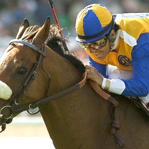 The Tin Man: ‘The only difference was, this tin man was made of nothing but heart’ – Jay Hovdey on a beloved turf veteran | Topics: The Tin Man, Breeders' Cup Turf, Arlington Million, Santa Anita, Jay Hovdey's Favorite Racehorses, Richard Mandella, Jay Hovdey