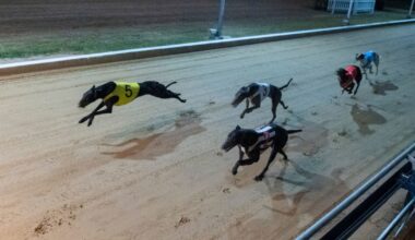 Lound says Gigantor can emulate Jackknifed at Townsville :: Racing Queensland