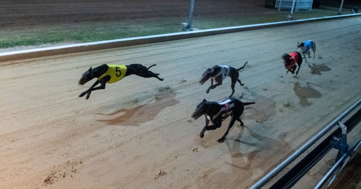 Lound says Gigantor can emulate Jackknifed at Townsville :: Racing Queensland