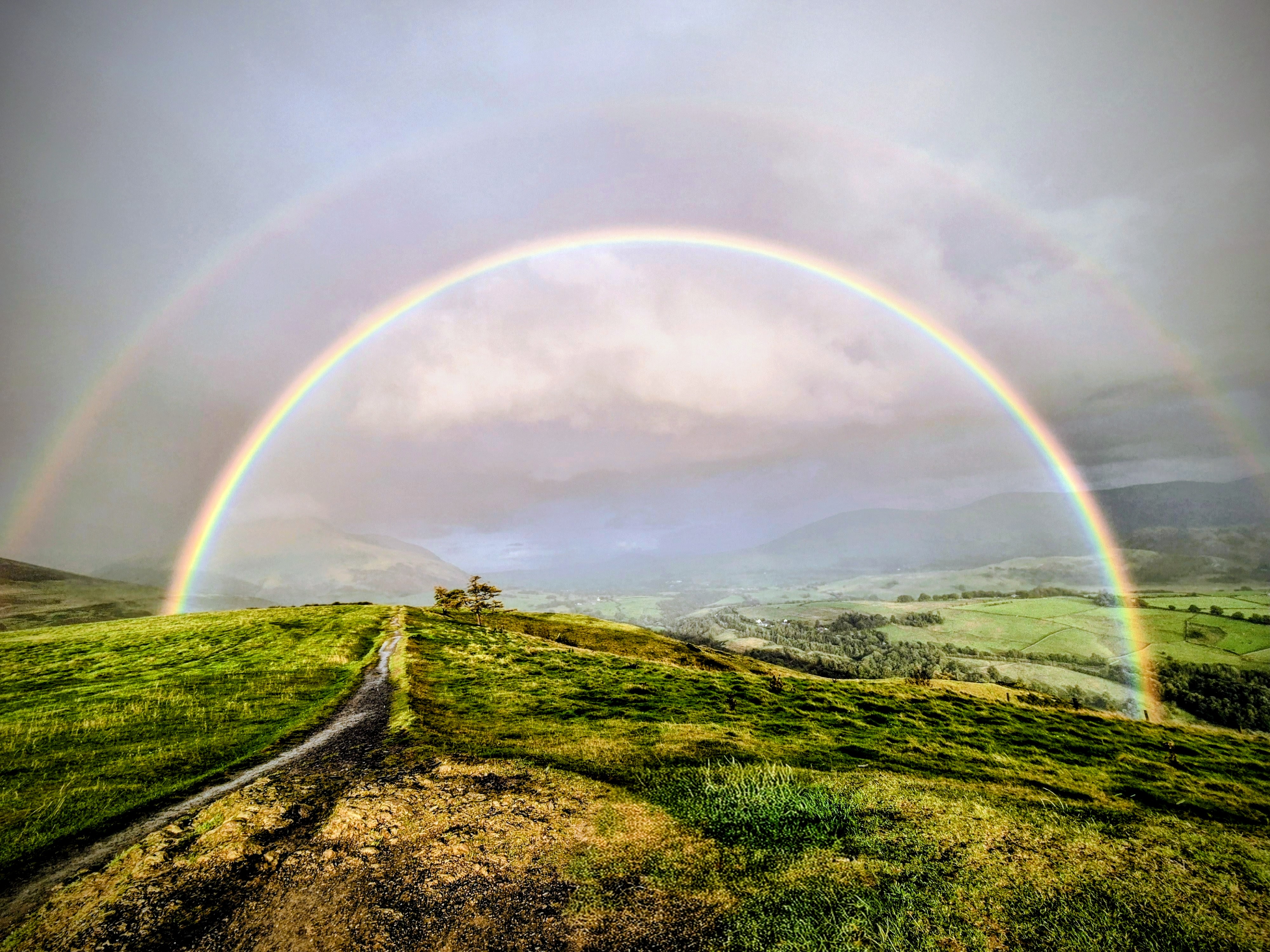 NINTCHDBPICT001026647656