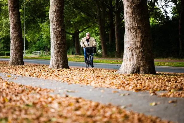 This photograph shows dry leaves fallen from trees earlier in the summer due to a heatwave, in Papendrecht on August 22, 2025