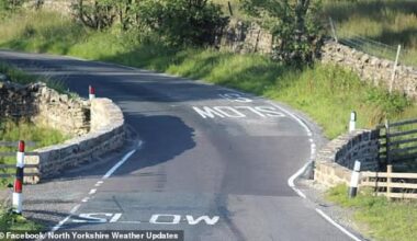 The tyre bell was installed on the B6255 near Hawes, North Yorkshire, to stop cars hitting the bridge