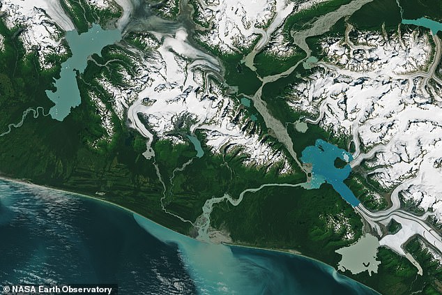 By 2024 (pictured), satellite images show that many of the glaciers have rapidly retreated and a the lakes have doubled in size