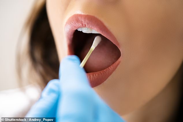 Yixuan Meng, PhD, study lead author, said: 'Our findings provide new insight into the relationship between the oral microbiome and pancreatic cancer.'