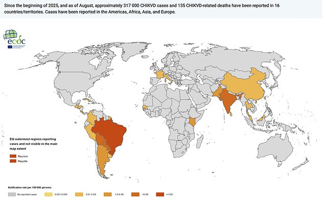 The above map shows the 12-month chikungunya virus case notification rate per 100,000 people from September 2024 to August 2025 (source: European Centre for Disease Prevention and Control)