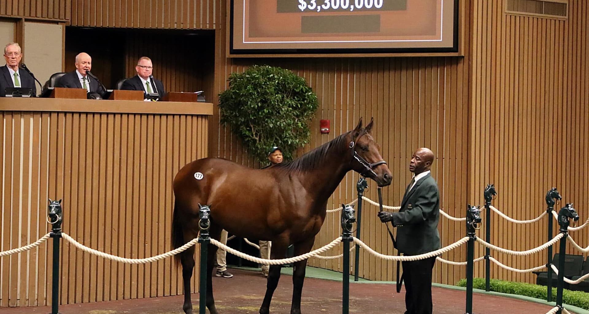 Trump tax breaks give the racehorse market a boost