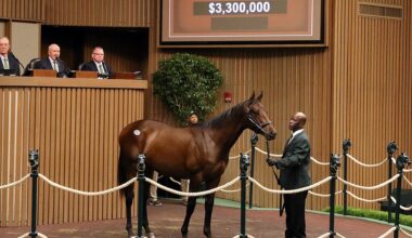 Trump tax breaks give the racehorse market a boost