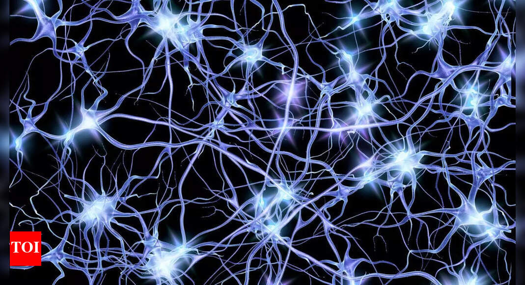A futuristic world: Top scientists working on turning bacteria into powerful computers! |