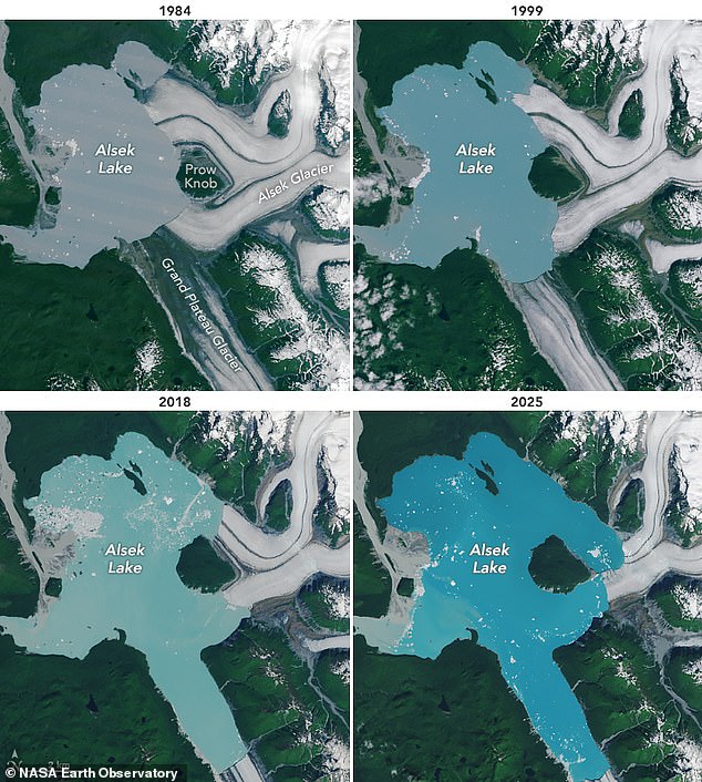 Satellite images show how a new island has formed in Alaska over just four years as the Alsek Glacier retreats, and NASA says climate change is to blame