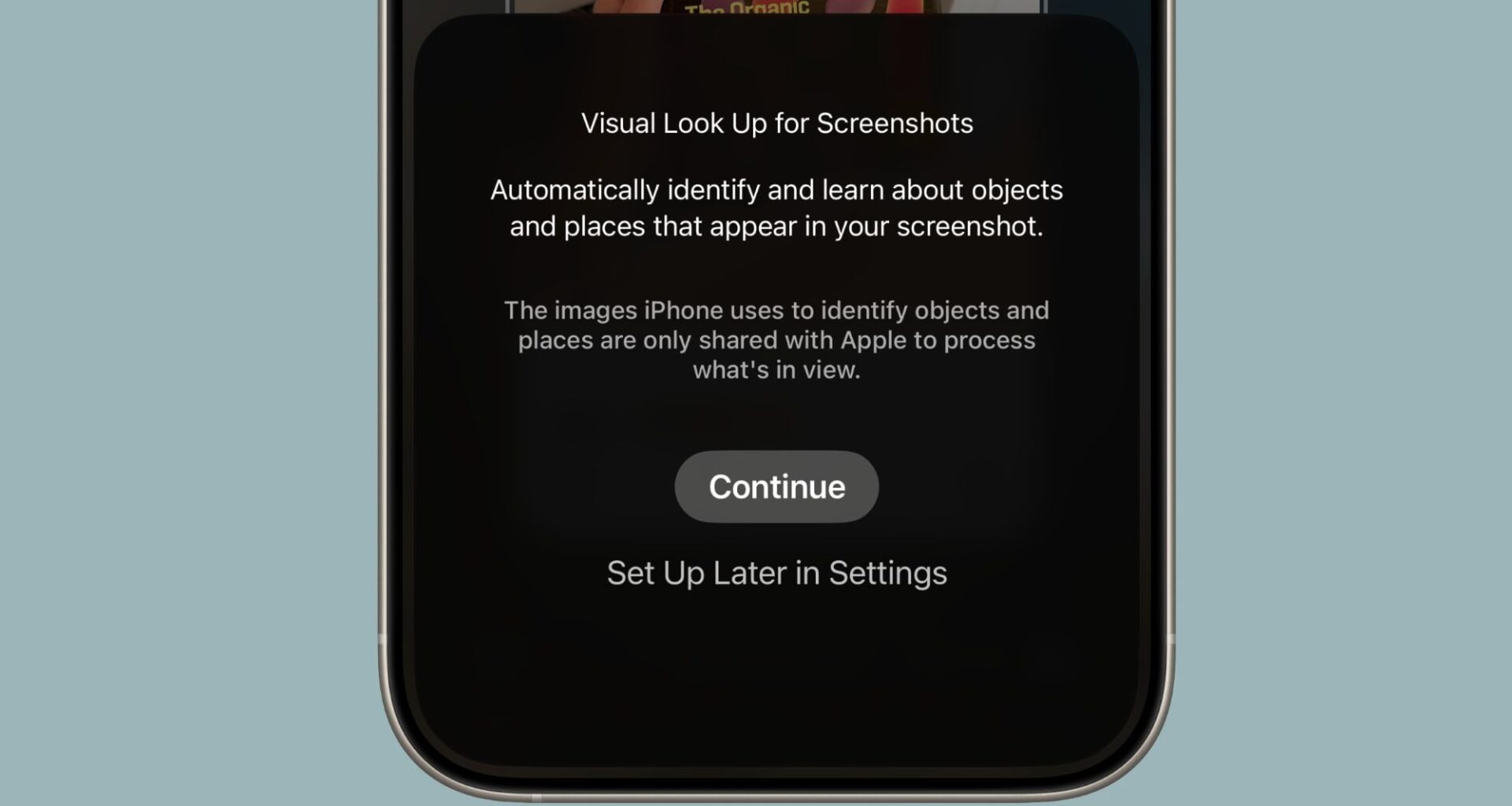 iOS 26: Use Visual Intelligence With iPhone Screen Content