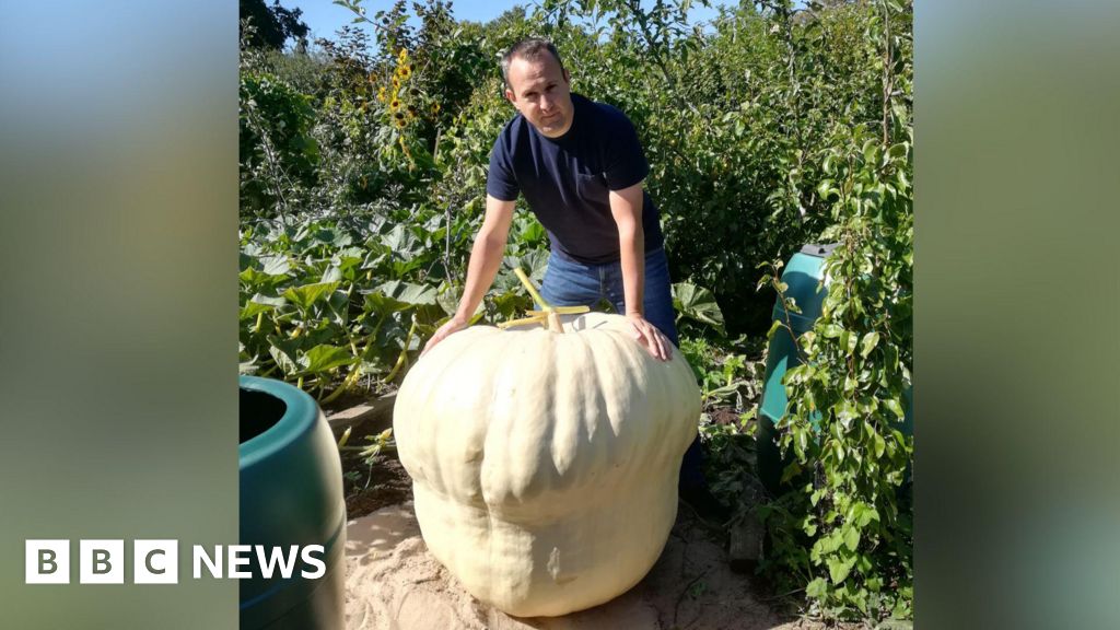 Surrey man grows giant pumpkins to help manage his mental health