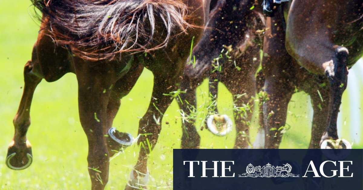 Pepper aiming to run hot again with progressive pair