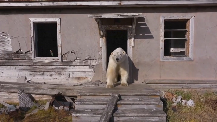 Video Player Placeholder