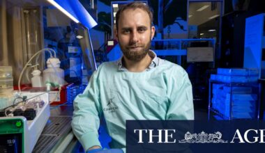 Australian startup selling 'wetware' bio-computers made of human brain cells